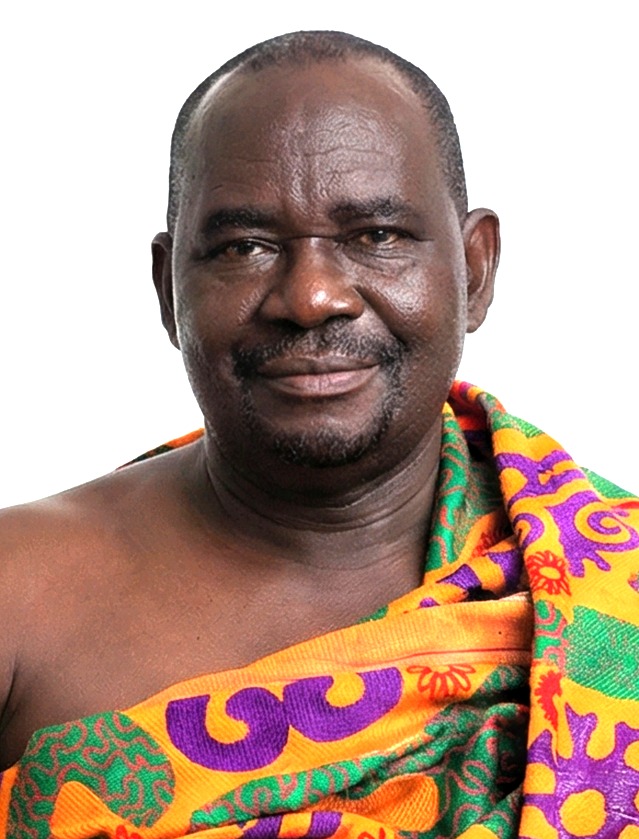 Professor Nana Akyempim Andoh Nkromah III
